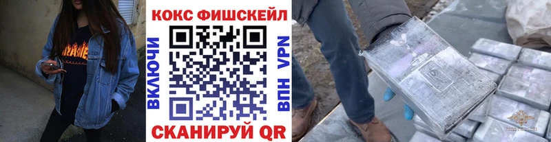 Купить закладки  Волжск  Cocaine Боливия 