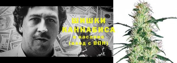 метадон Заводоуковск