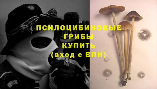 метадон Заводоуковск