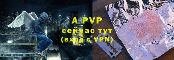 ГАЛЛЮЦИНОГЕННЫЕ ГРИБЫ Заволжье