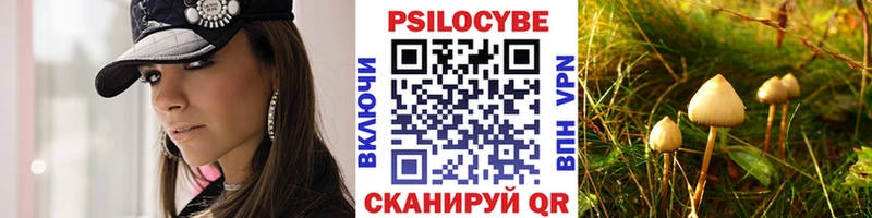 Купить Волжск Галлюциногенные грибы GOLDEN TEACHER